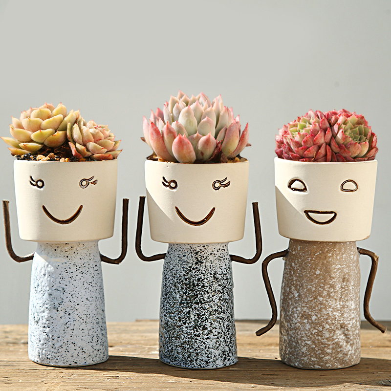 Lovely cartoon characters fleshy flower POTS decoration intention coarse pottery flowerpot clearance package mail furnishing articles large move