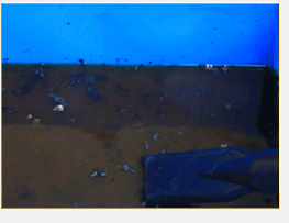 河北颗粒粉尘吸尘器丨石家庄工业吸尘器厂家直销