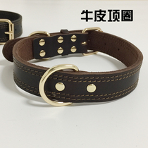Double Wire Bull Leather Collar Dog Collar Dog Collar Dog Neck Ring D Pasta Sa Moyegin Mullabrador Neck