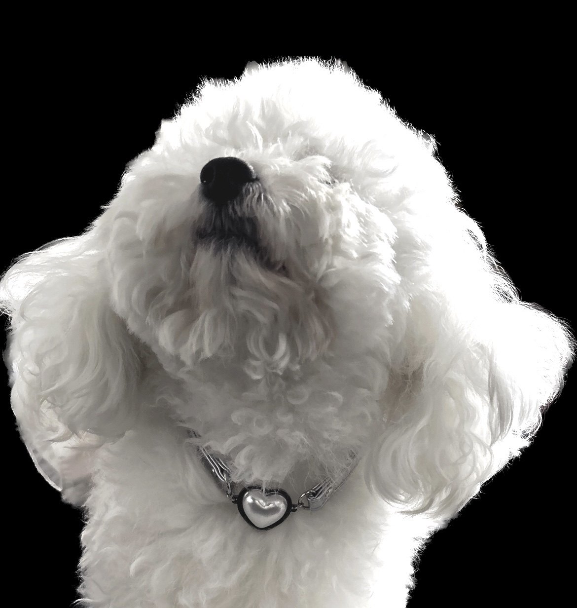 Prohibition of cui delivery. The construction period is one week. Some sealed areas cannot deliver goods. Can't wait and don't shoot