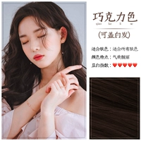 Шоколад (можно покрыть белыми волосами)