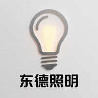 东德照明正品店