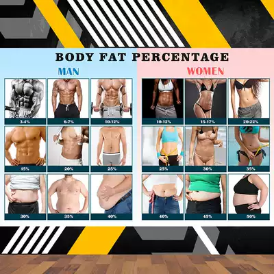 人体脂肪百分比例参考图bmi体脂率背景墙纸男女体态姿势对比墙图