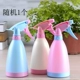 Micro cảnh trang trí làm vườn thịt Công cụ DIY tưới nước có thể đất nung chén bàn chải thịt da thổi chậu cung cấp tưới nước có thể dung cu lam vuon