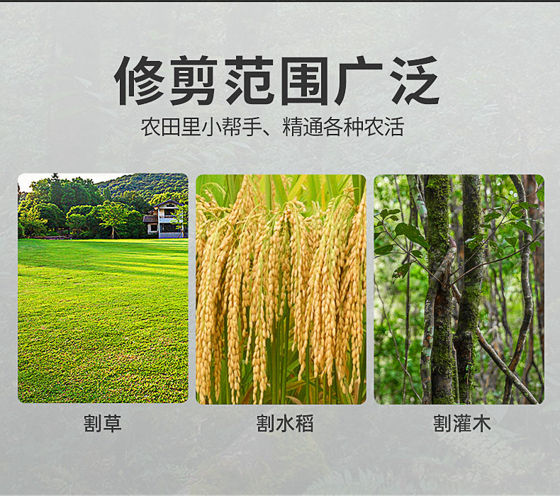 Газонокосилка 东成汽油割草机背负式小型家用四冲程打草收割多功能农用除草神器 Tung Shing