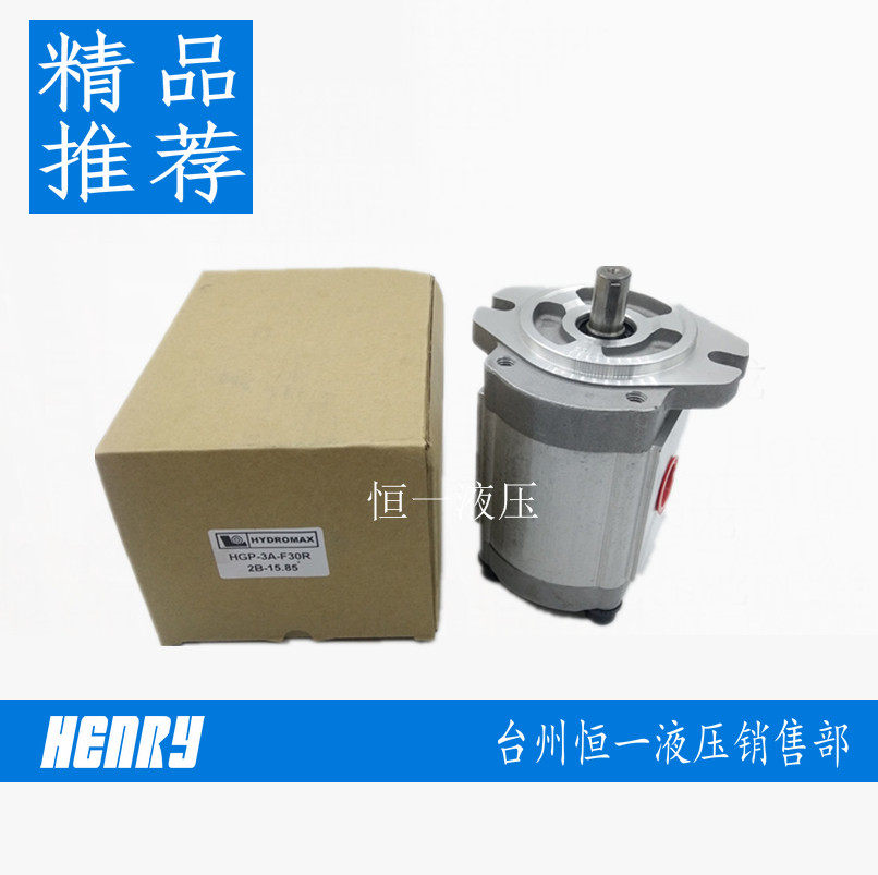 HGP-3A-F-23-R-2B-10 HGP-3AF30R-3AF30R inflatable pump in Taiwan HYDROMAX gear pump