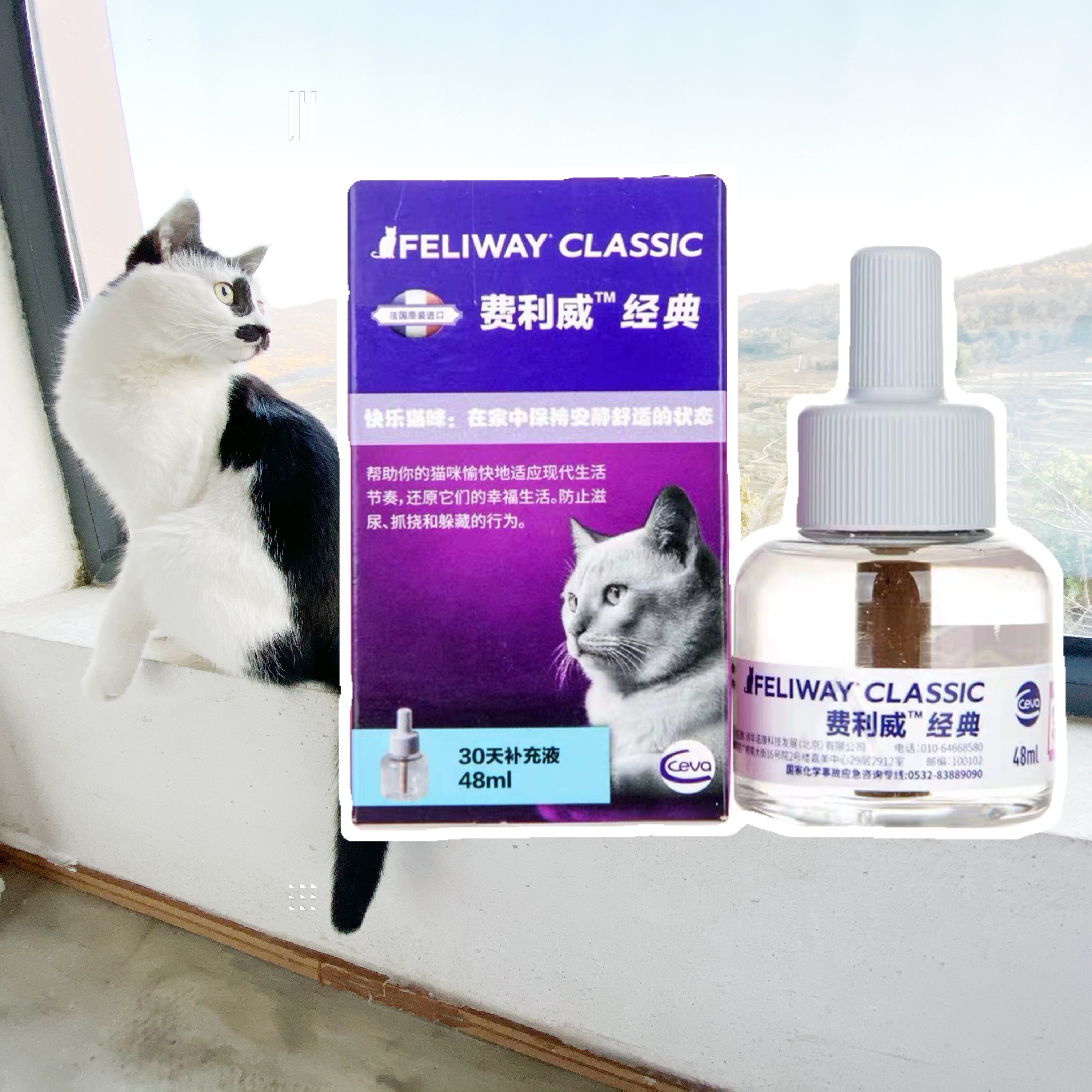 Large Fat Store Felliway FELIWAY Classic anti-scratching appeasement Emotional Cat with 30-day Supplementary Liquid 48ml