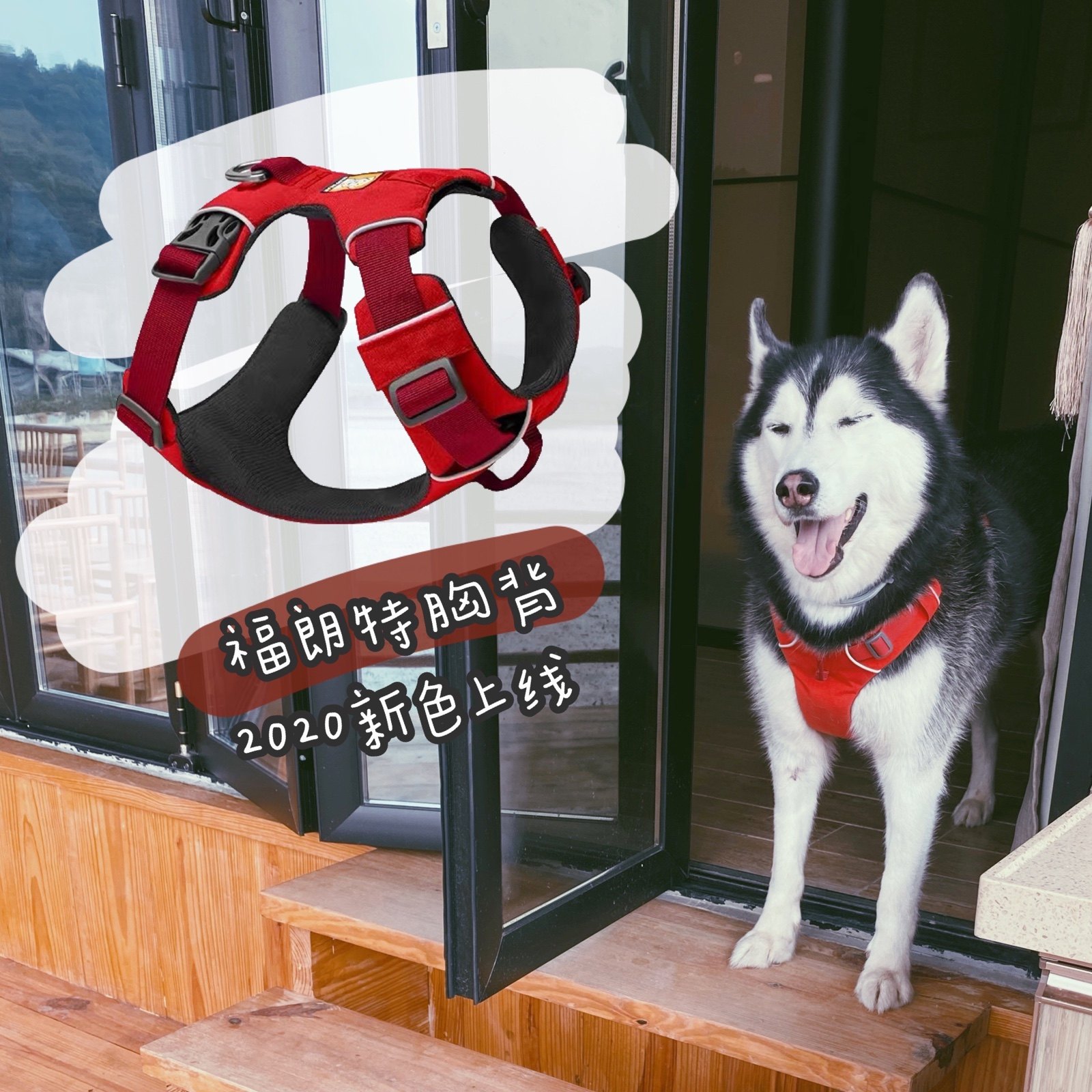 Big Fat Shop USA RW Rav Wilfoldt Doggy Chest Back Walking Cat Breast back Tinted Pants