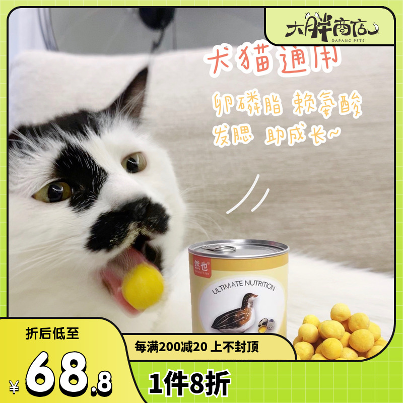 Big Fat Store Quail egg yolk freeze-dried lecithin dog and cat snacks beauty hair gill nutrition bibimbap 140g