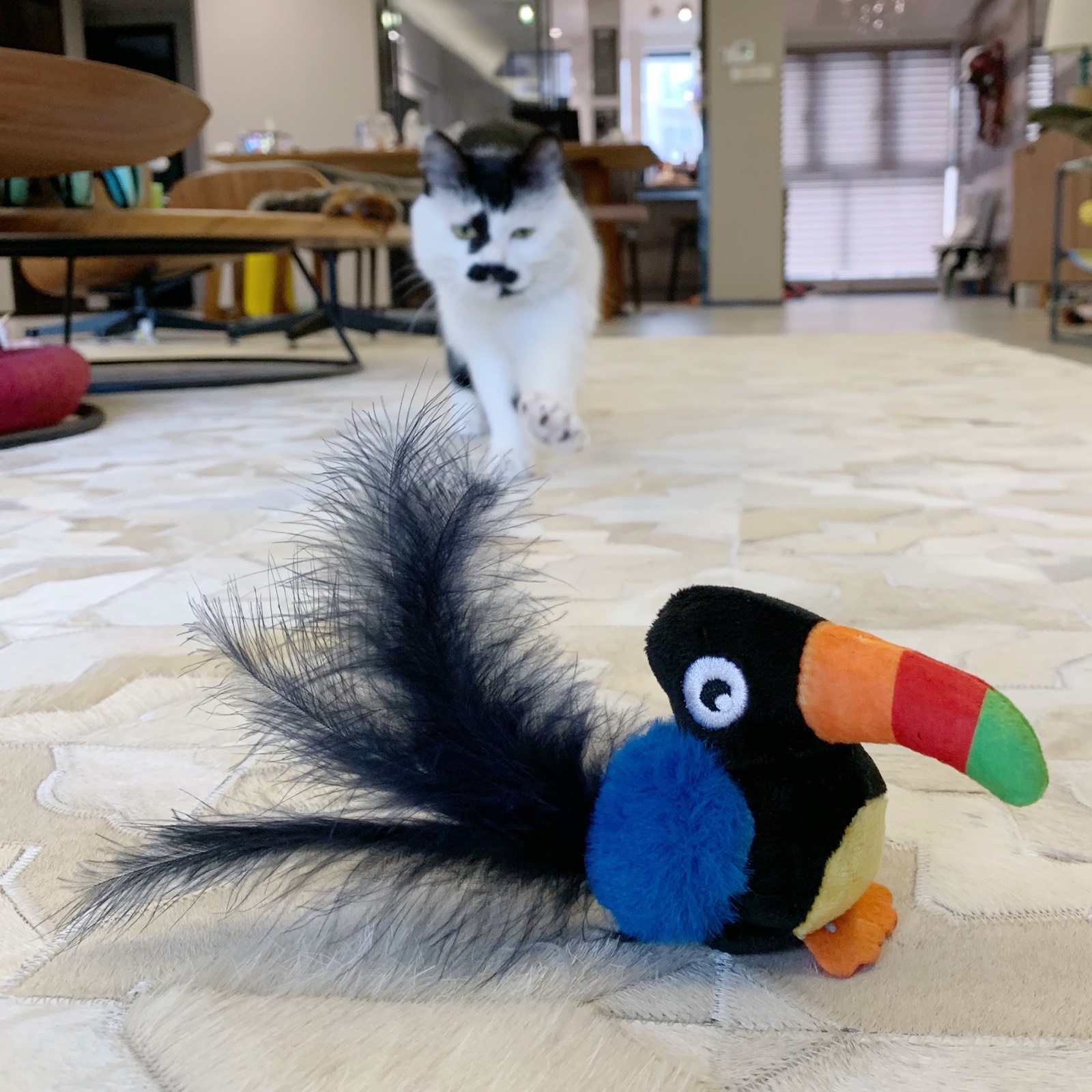 Big fat store Ugly loves to hunt, expensive for GiGwi squeaky bird call prey simulation little mouse cat toy