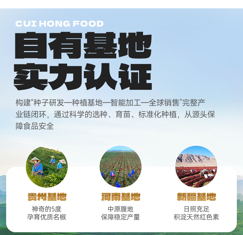 安享好物 安享B级油辣椒-翠宏油泼辣子 国标