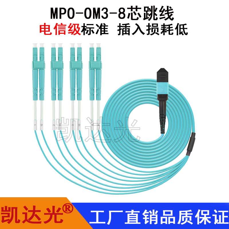 Mpo to Lc 10g 1/4 40g to 10g 100g to 25g Qsfp to Sfp 8-Core Fc Multimode Om3 Patch Cord