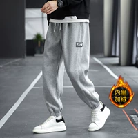 2221 серый плюс бархат