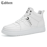 Белый, зимний