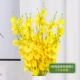 10 коротких желтых танцующих орхидей (исключая бутылки)