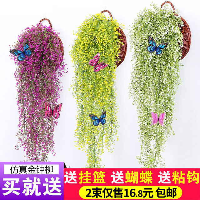 Simulated golden bell willow wall hanging decoration vine indoor fake flower rattan living room wall hanging plastic spider plant ພືດສີຂຽວ