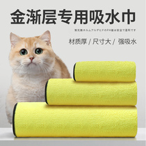 Golden Asymptotic Cat Cat Bath Towels Bath Towels Small Milk Cat Summer Bath Thickened Soft Absorbent Speed Dry Towel Pet Supplies