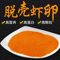 Fengnian shrimp shelled eggs can hatch Fengnian shrimp Peacock fish fish juvenile juvenile shrimp small fighting fish feed