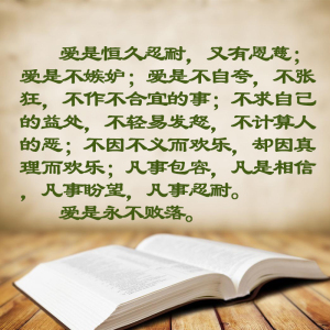 游戏是孩子的功课 (美)薇薇安 文教 育儿其他 新华书店正版图书籍云南晨光出版社