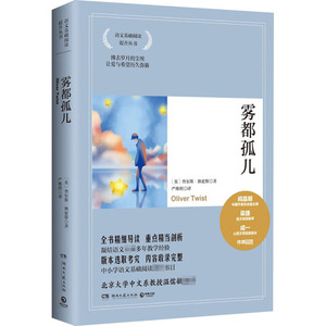 雾都孤儿 (英)查尔斯 文学 外国文学名著读物 世界名著 新华书店正版图书籍湖南文艺出版社