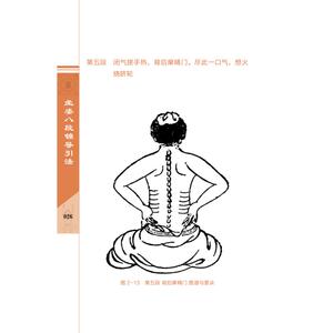 坐姿八段锦导引法 严蔚冰,严 文教 体育运动(新) 新华书店正版图书籍中国科学技术出版社