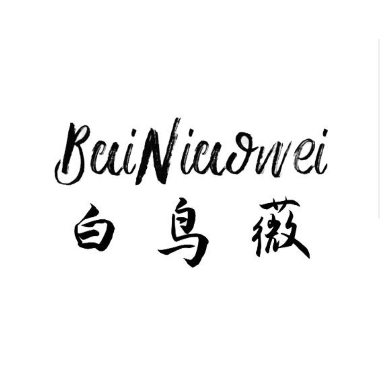 白鸟薇箱包