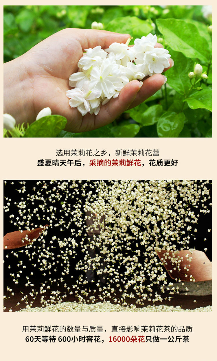 新茶茉莉花茶叶2020年雨前茉莉花茶特级