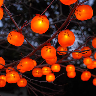 2026 New Solar-Powered Persimmon String Lights Led Outdoor Waterproof New Year and Spring Festival Tree Hanging Atmosphere Decoration