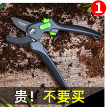 Flower Scissors Garden Scissors Home Flower Potting Garden Fruit Tree Cutting Tree Branches German Cutting Cutting Branches Cutting