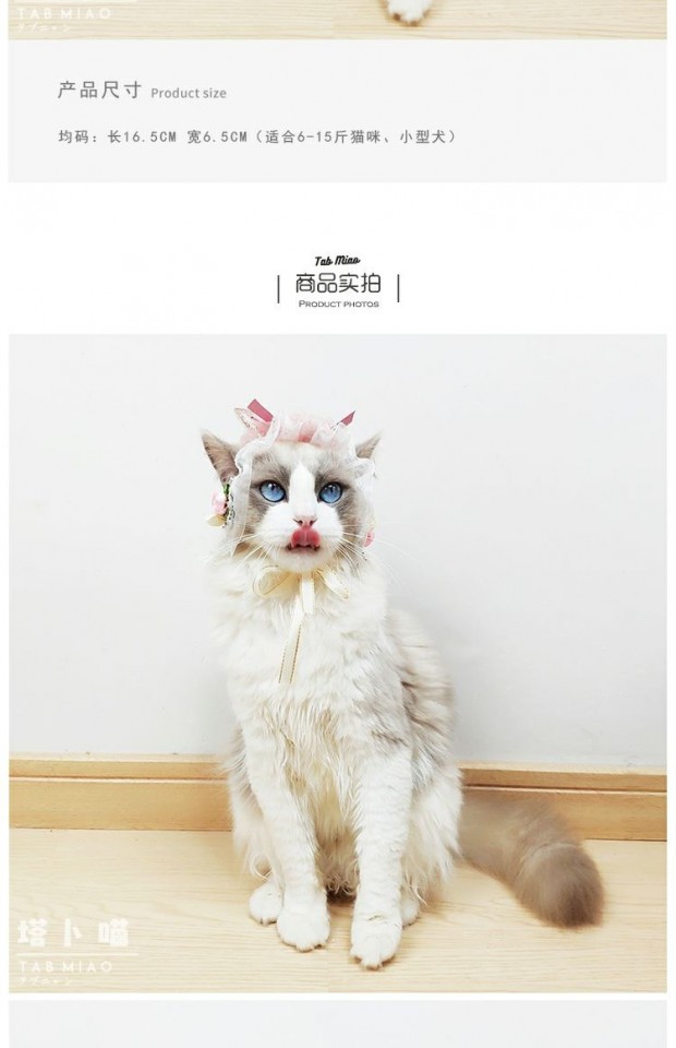 Mèo sinh nhật mũ thủ công mèo mũ thú cưng mũ mèo quần áo trang sức Teddy dog ​​con rối mèo mũ - Quần áo & phụ kiện thú cưng bộ quần áo cho mèo