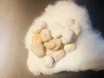 The bones of Sakyamuni Buddha are about 5mm strong