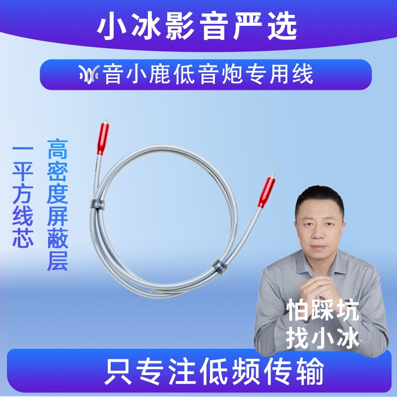 Yin Xiaolu Subwoofer Dedicated Cable D1