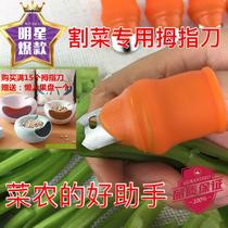  Vegetable picking tool Cutting vegetables iron protection nails Pepper edamame greenhouse pepper picker finger thumb knife