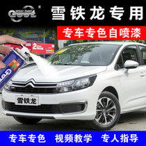 Citroen Elysee C3XR Tianyi C5C6 car scratch repair artifact makeup pen pearlescent white self-spray paint