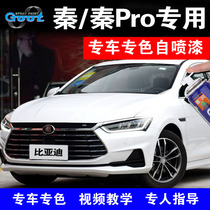 BYD Qin Qin Pro car refinish paint pen scratch repair artifact self-spraying Tianshan crystal white paint