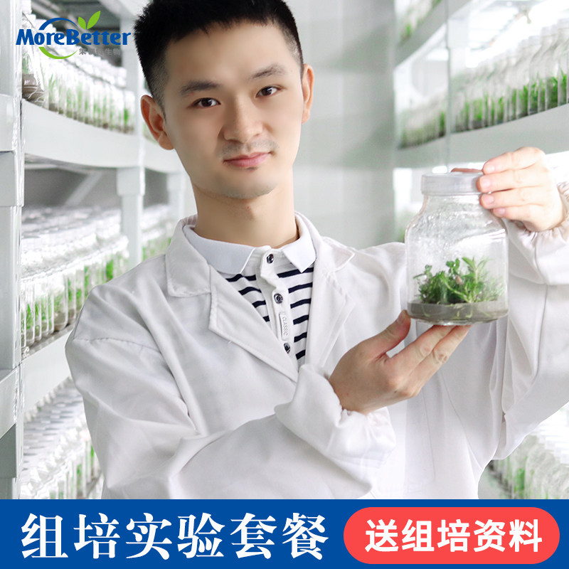 MS组培组培爱好者实验套餐含药品及简单耗材送资料