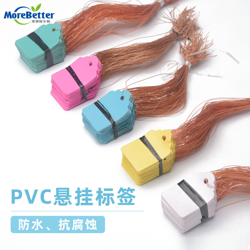园艺PVC悬挂标签 花卉标签 植物树木吊牌 塑料防水挂牌 尼龙绳子