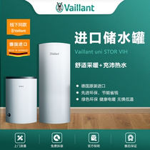 German Wellbeing Ejection Type Water Storage Tank Gas Wall-mounted Furnace Home Villa Extensive Commercial Import Tank