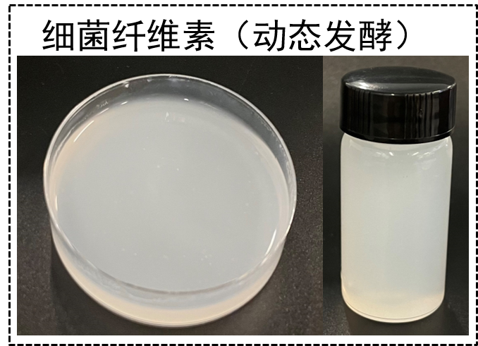 细菌纤维素（Bacterial Cellulose）BC  闪思科技ScienceK