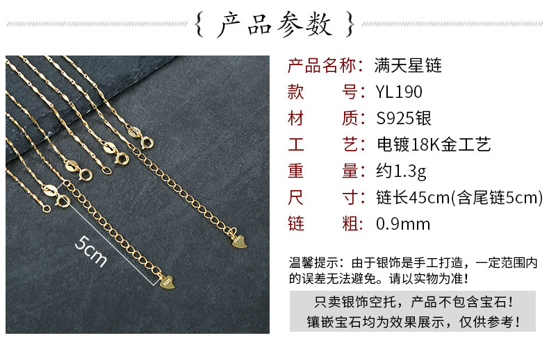 YL07 Gold Chain Luxury_02.jpg