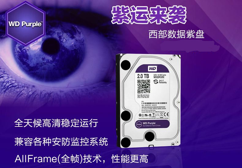 WD Western Digital WD20PURX Surveillance Security Hard Drive