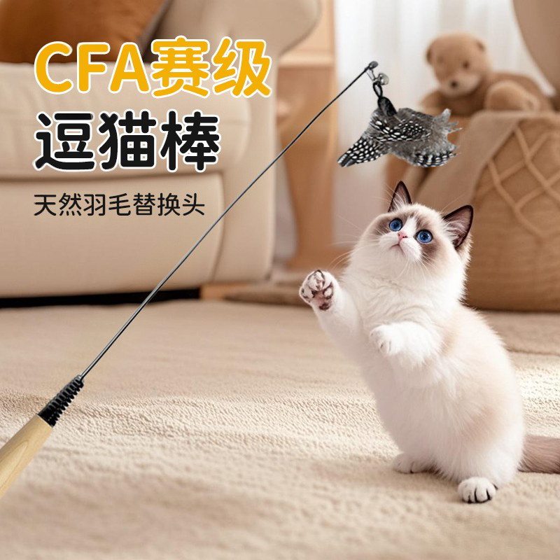 CFA競技レベルのキャットティーザー、猫のおもちゃ、長いポール、羽の交換用ヘッド、傷に強い猫のおもちゃ用品、セルフエンターテイメント