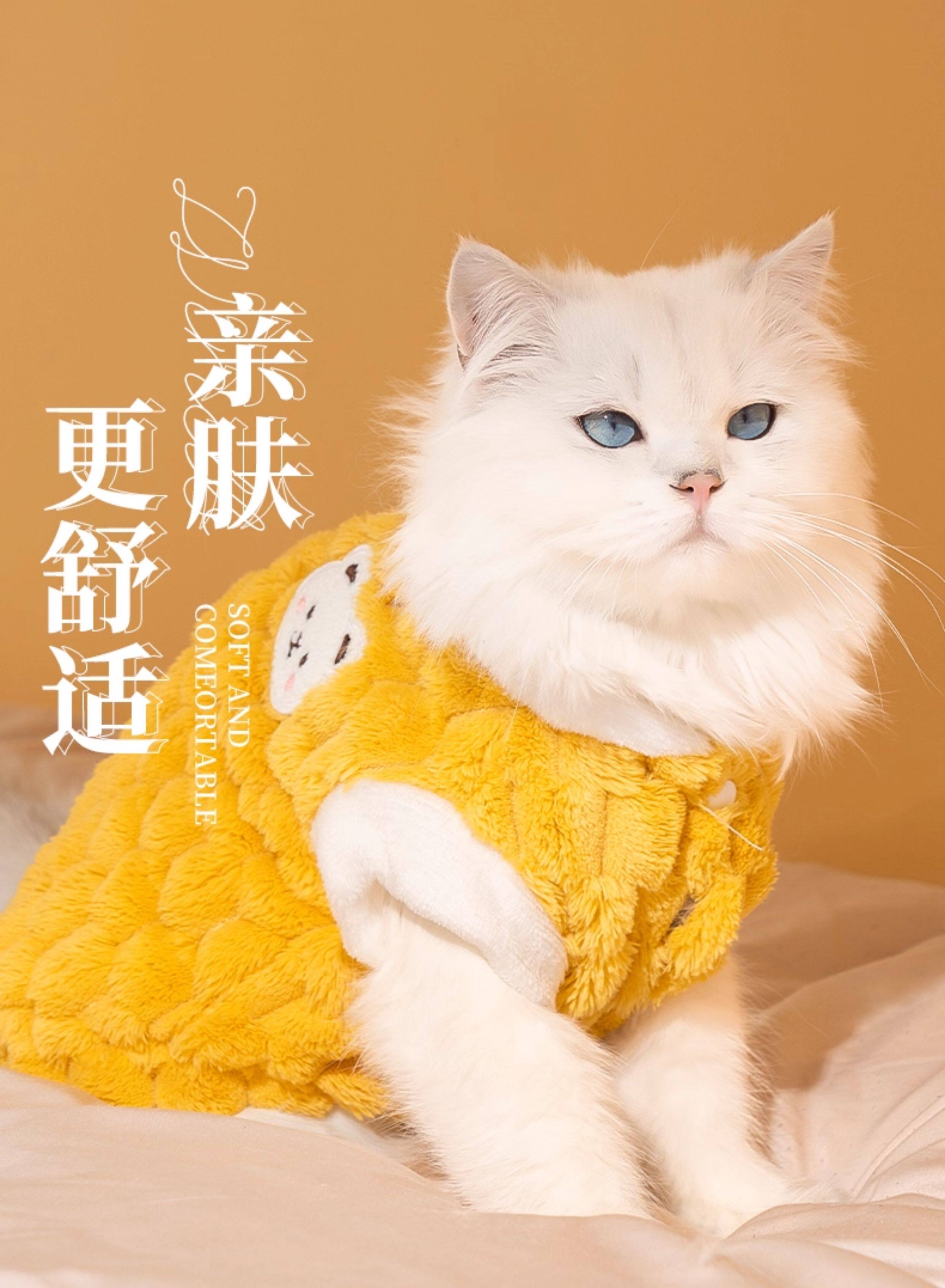 Одежда для животных 狗狗衣服过年秋冬款可牵引比熊泰迪小型犬冬天宠物猫咪衣服加绒