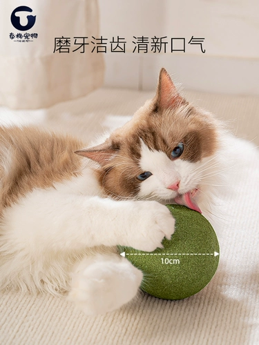 Шарик из кошачьей мяты, негабаритная игрушка для кошек, самовосстанавливающийся, анти-сверлящий артефакт, коренной зуб, кошачий травяной шарик, дразнящий кошачья палка, принадлежности для кошек, дерево Tian Polygonum