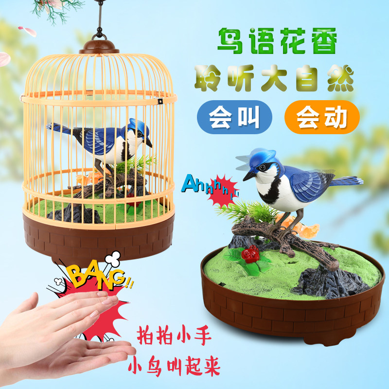 West Knight Official Store Simulation Appellera La Voix