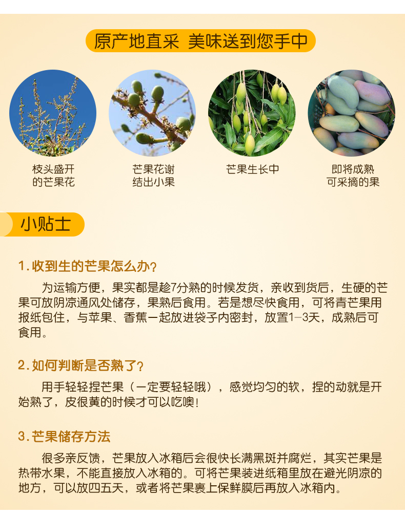 【现货】坏果包赔泰国释迦芒果泰芒5斤