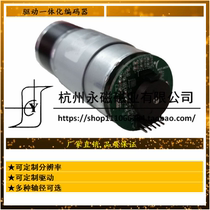 Customized Drive integration encoder