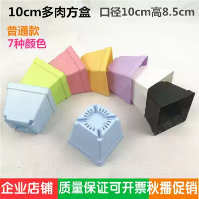 Plastic fleshy small square pot 10cm small black square pot Ten Square pot thickened plant flower pot carnivorous plant