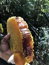 Y raw white nectar with 3 kilos of nectar