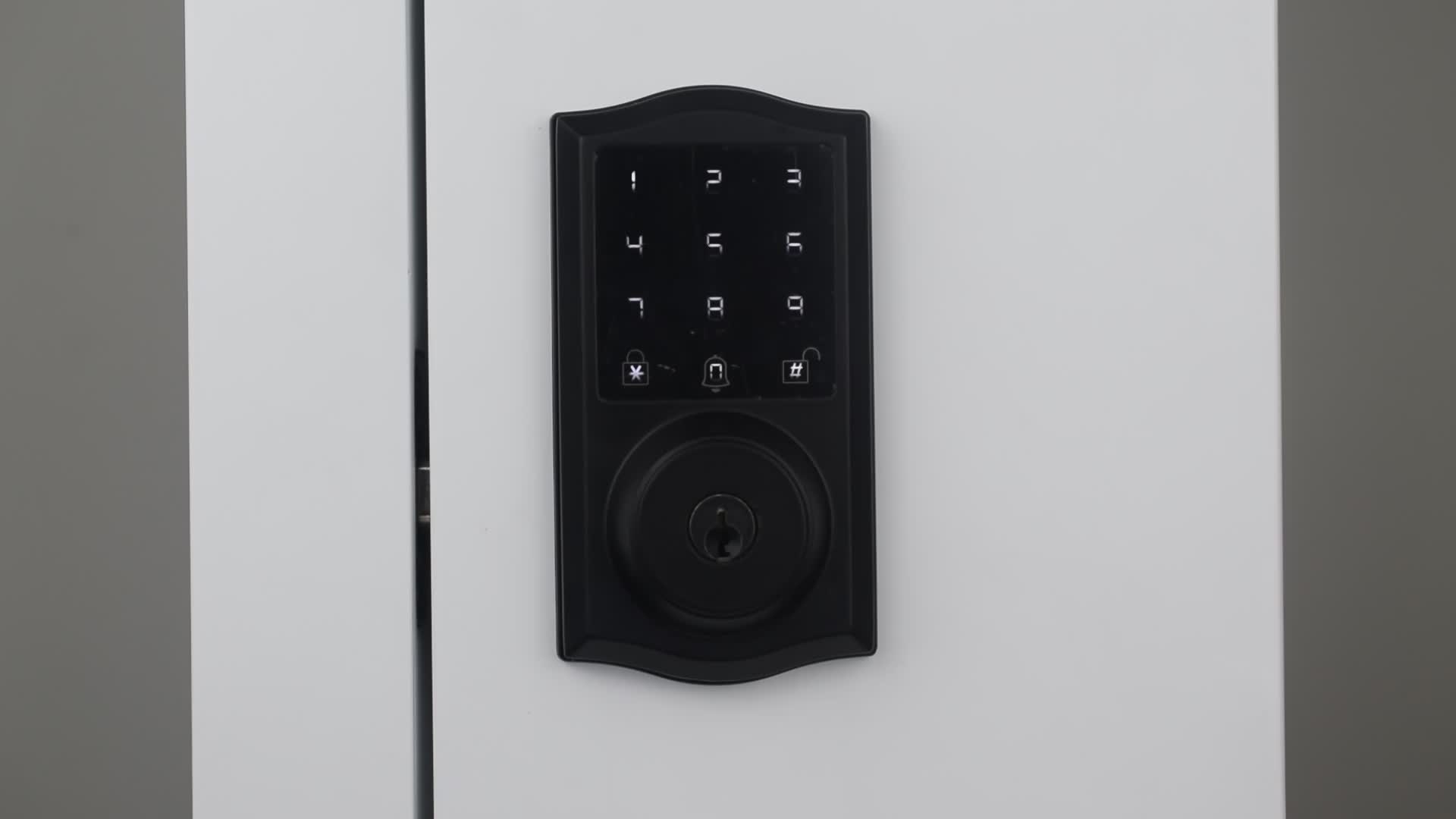 Tuya Ttlockelectronical Digital Deadbolt Locks Touchpad Adobe Master